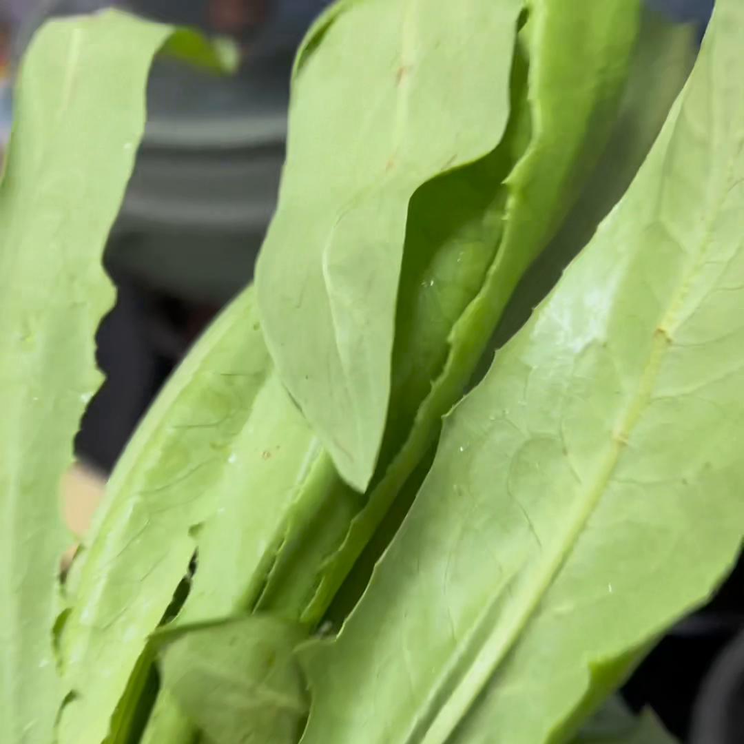 减肥人士的一日三餐简单,减肥一日三餐怎么吃亲身经历