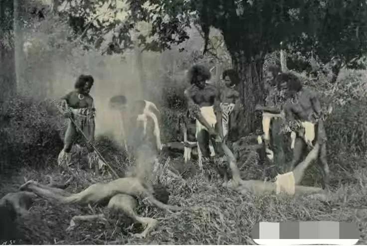 你不知道的国家冷知识斐济篇,斐济国家的生活是什么样的