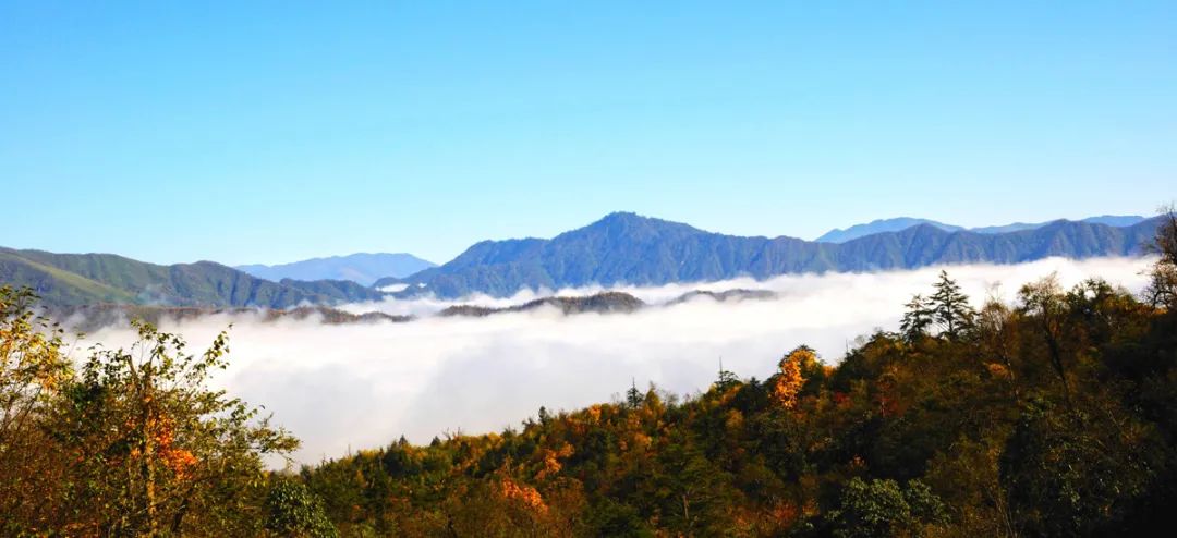 昭觉美姑,美姑路况