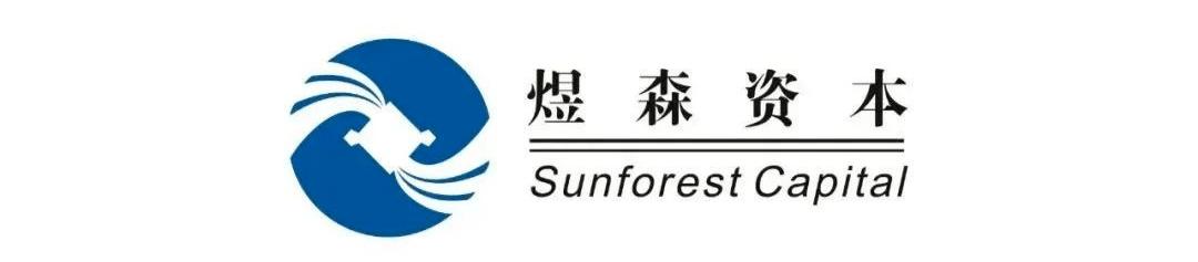 煜森资本上市,煜森资本科技