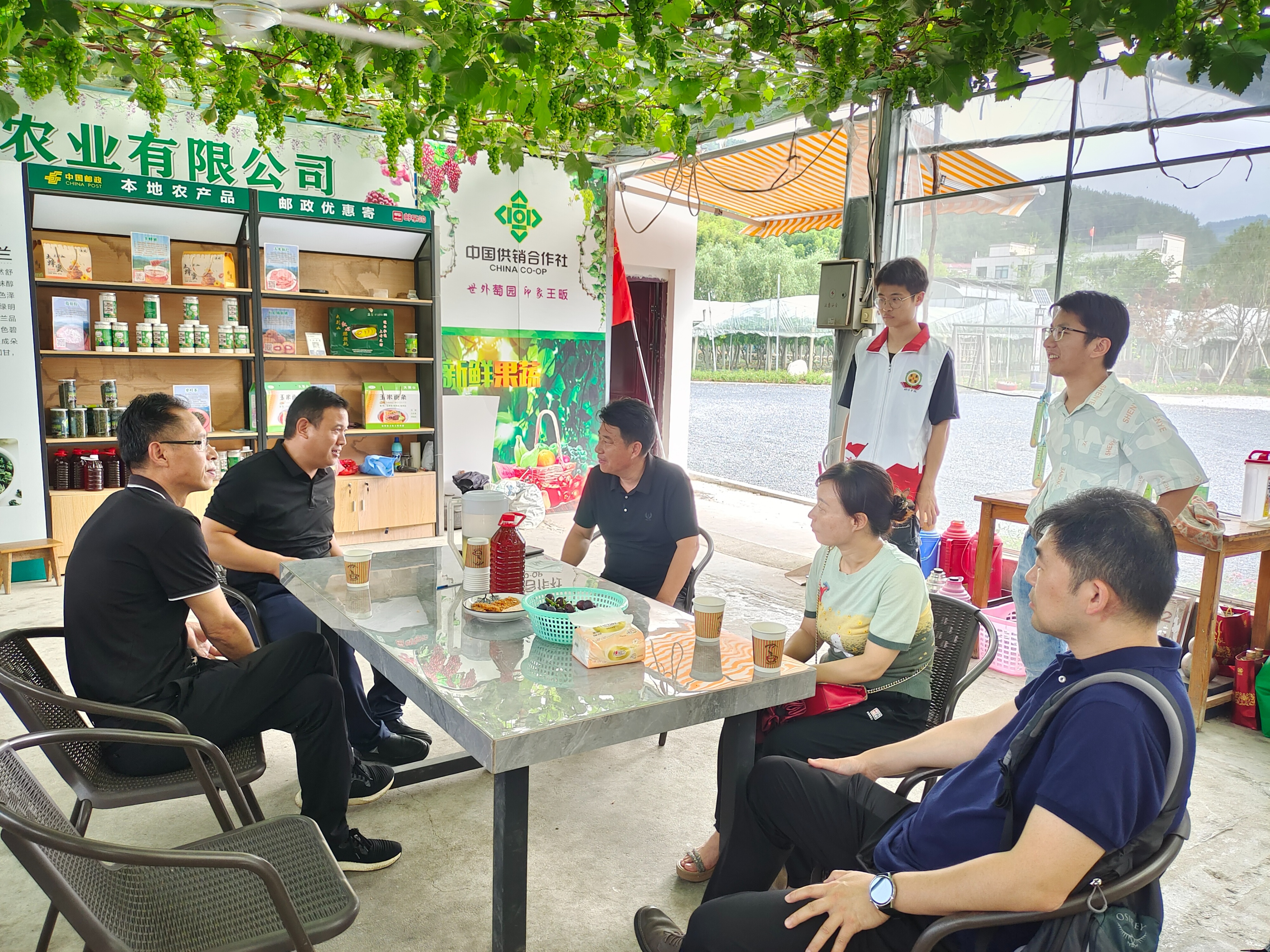 乡村振兴视角下的田园,乡村振兴奏响田园交响曲