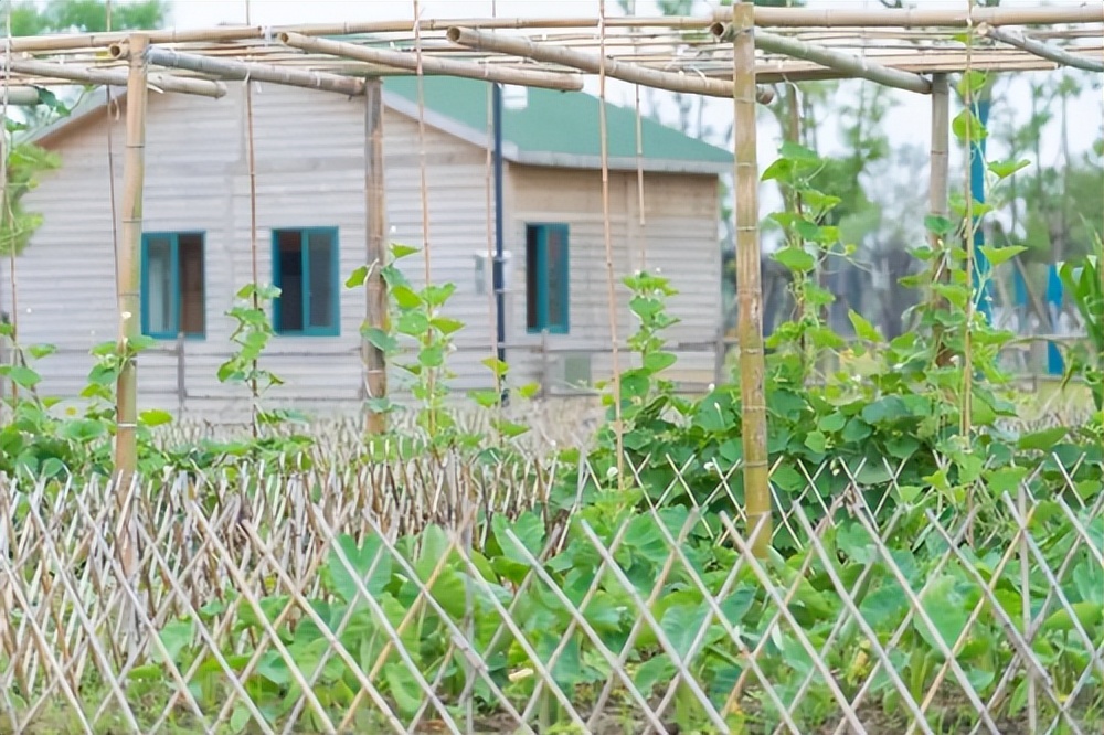 「向往的生活」芒果台上映，向往的老年生活也在这里上演
