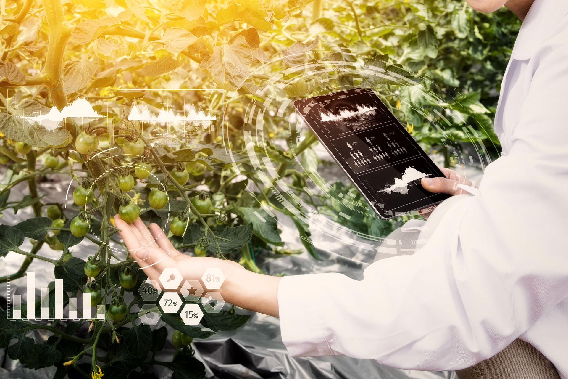 2020返乡潮是什么原因造成的,返乡创业的真实现状