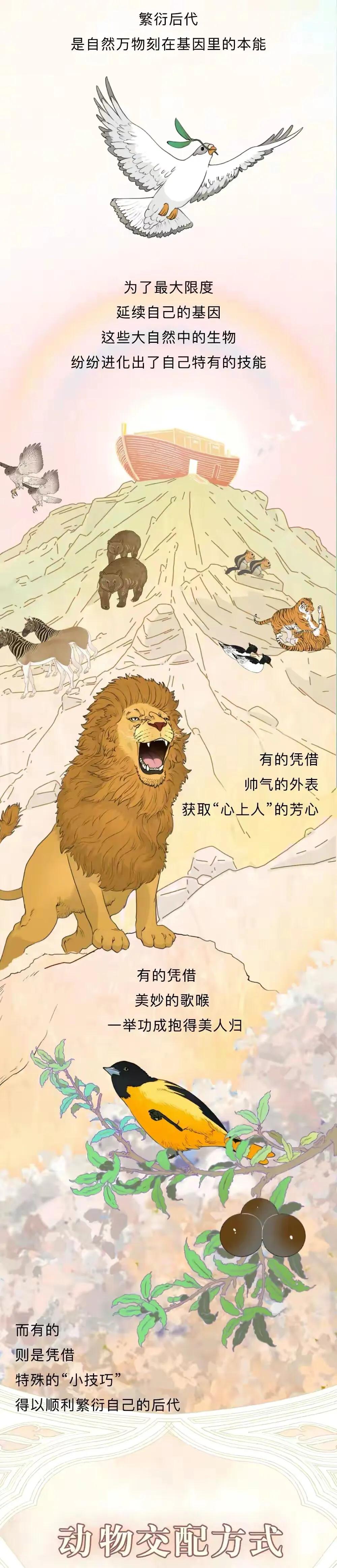 海陆空动物交配姿势对照表（严肃正经版）