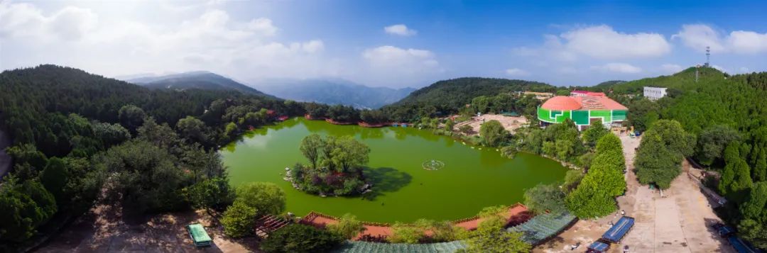 济南夏日森林游玩攻略,藏在济南的夏日度假圣地