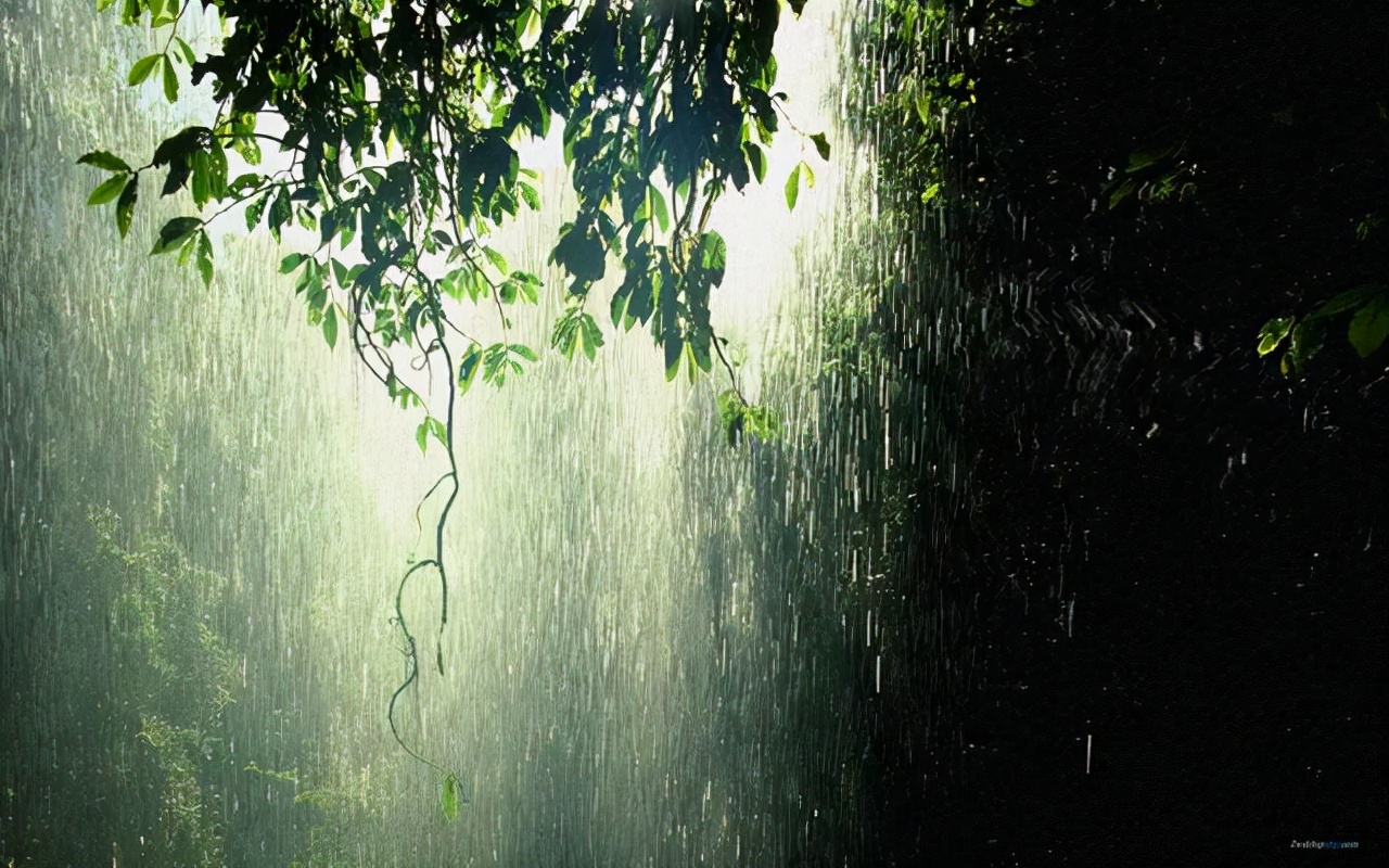 用修辞手法描写夏天的雨的语句,用排比的修辞手法描写春天的雨