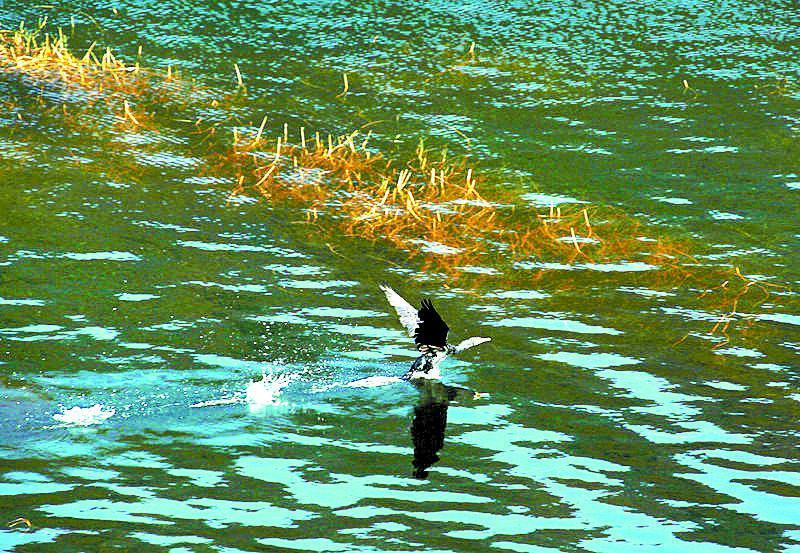 一元故事完整视频,元的故事