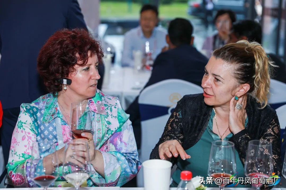 2024第五届丹凤西部红酒节,2024丹凤红酒节