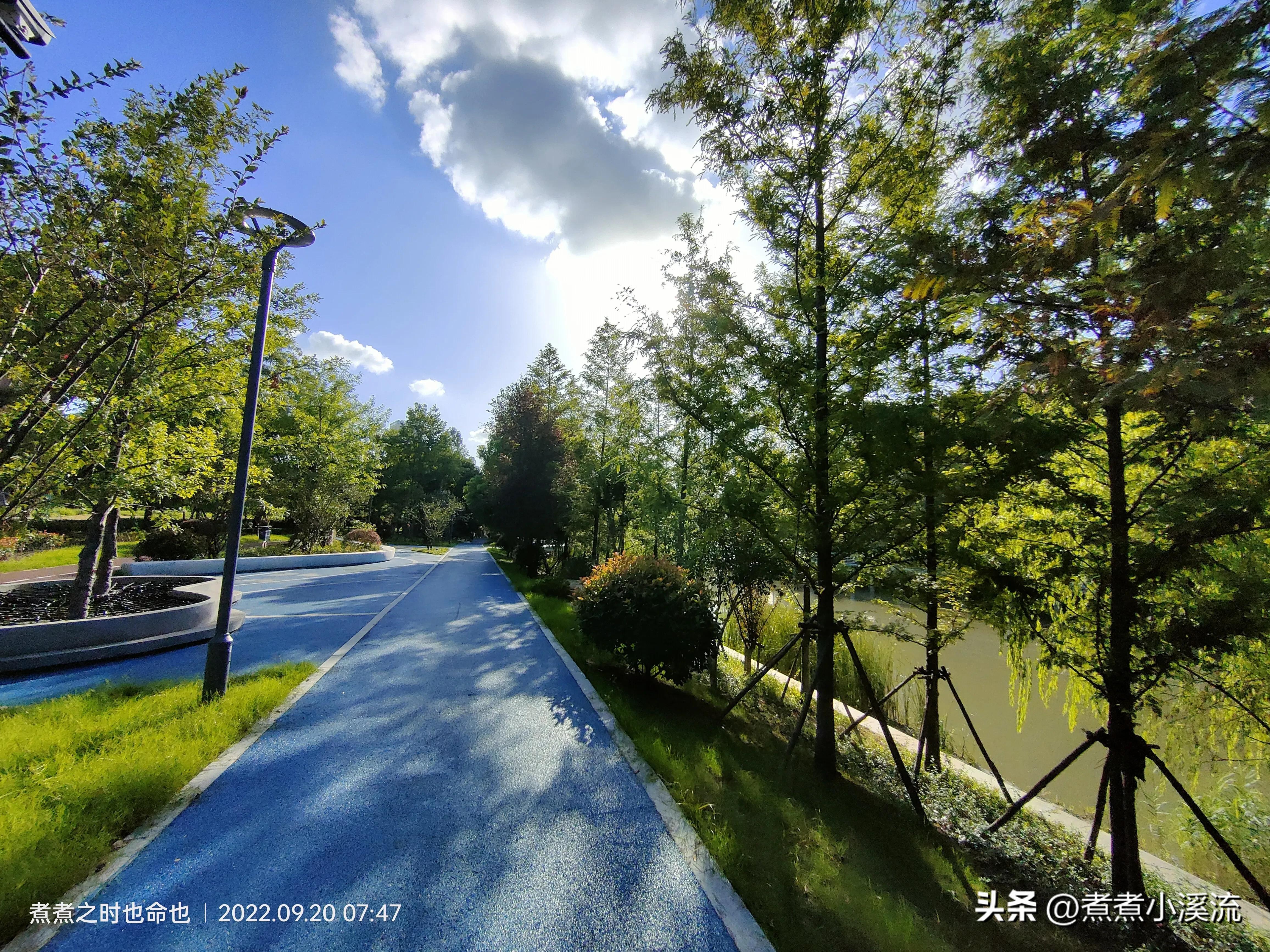 反流性食管炎自我调理,我的反流性食管炎治愈经历