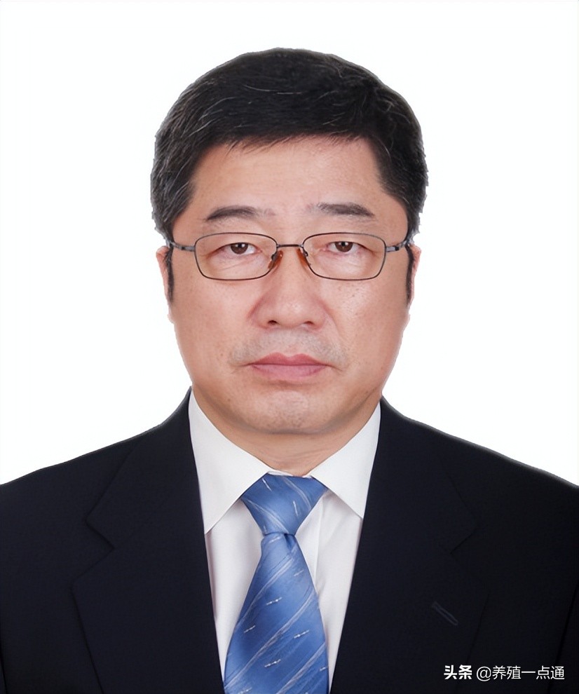 赵国琦，吉林长春人，扬州大学教授、博导，牛羊专家