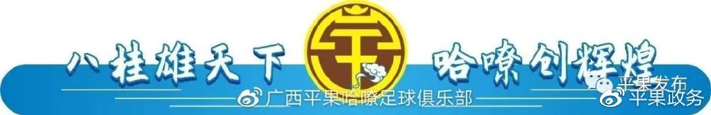 2024中国足球协会门票,2024中国足球协会甲级联赛售票