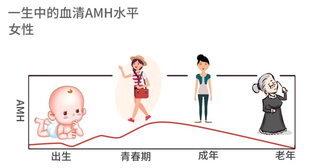 amh值低于0.05试管成功率多少,amh低是自怀还是试管