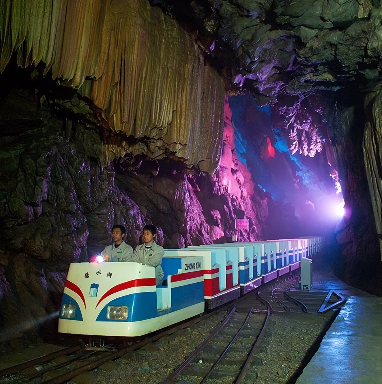 到咸宁看国宝过大年,离家45年的国宝回湖北咸宁过年