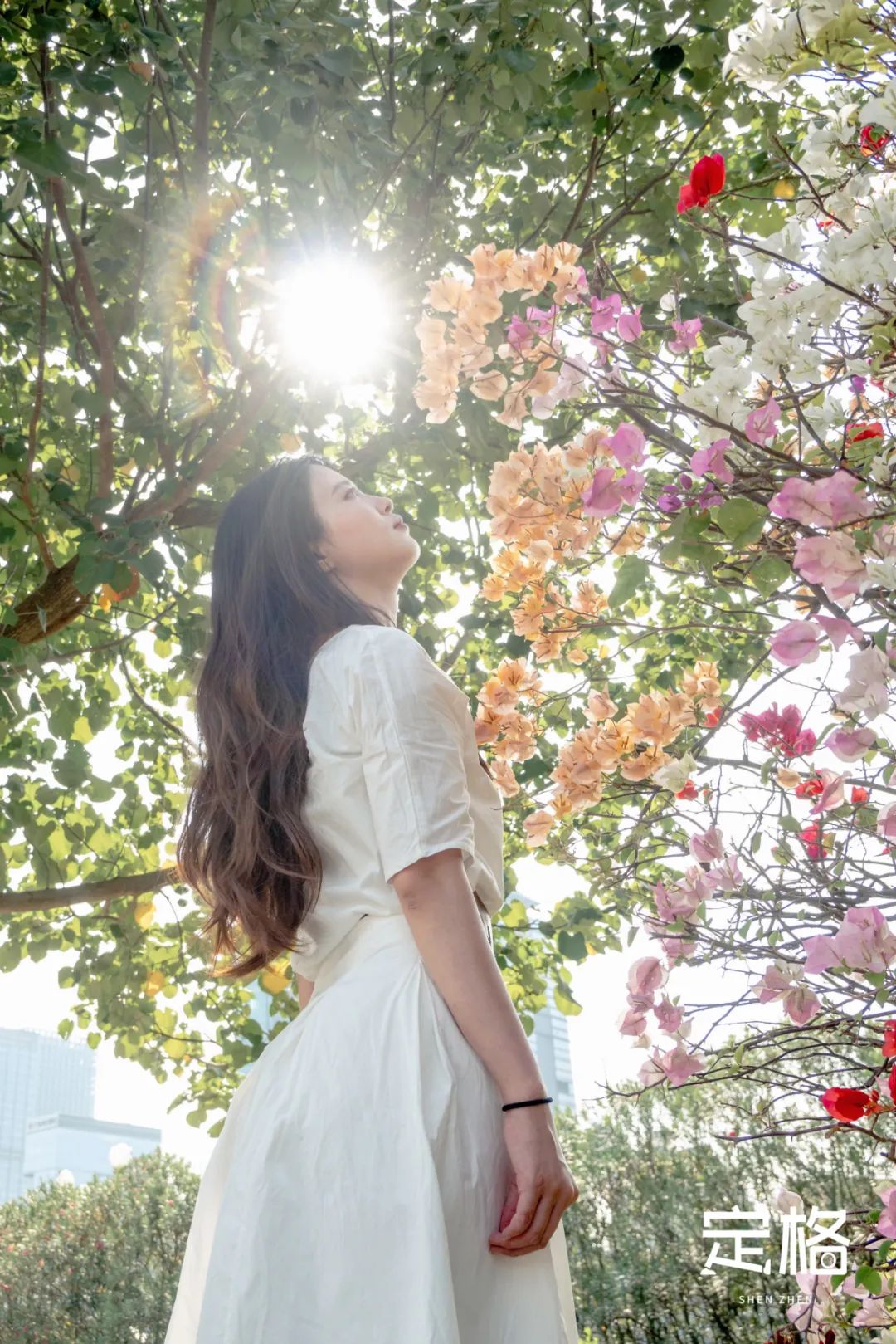 深圳湾流花山花海,深圳蝴蝶谷花海图片