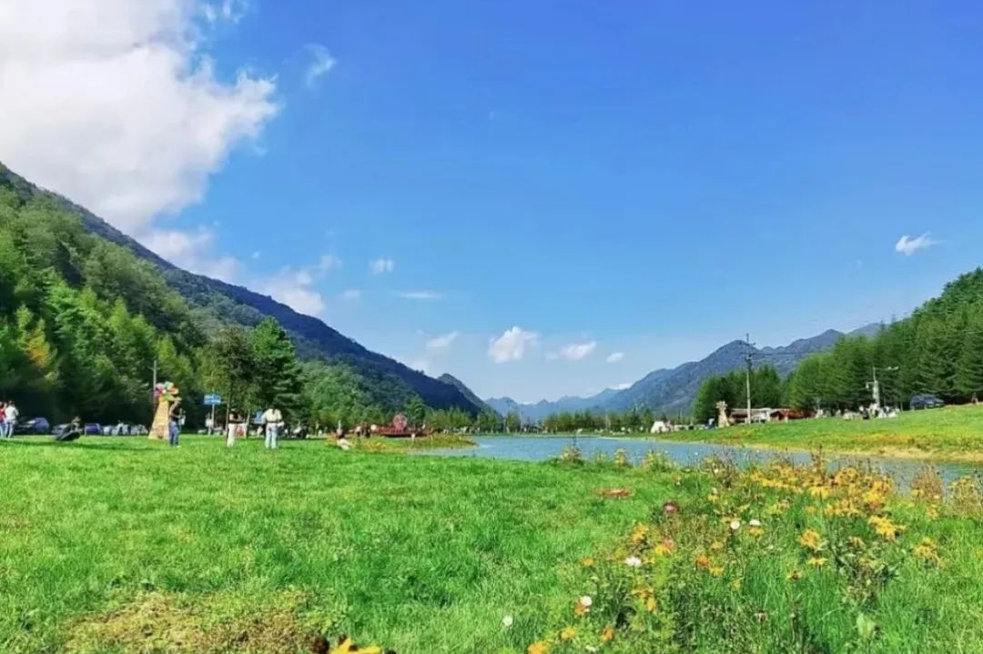 重庆茶山竹海国家森林公园避暑,重庆适合亲子游2天一晚避暑