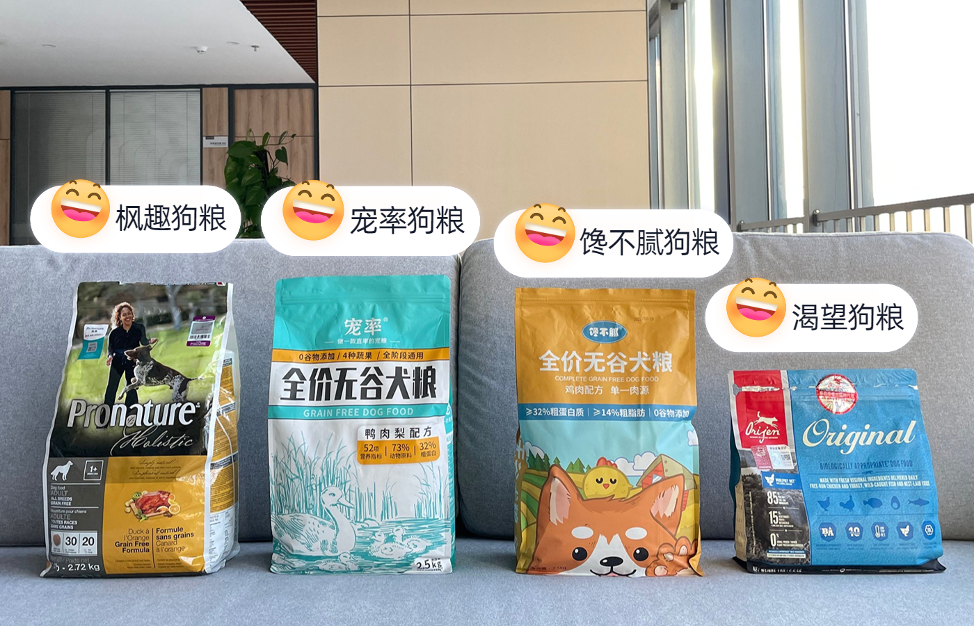 新手养狗哪种狗便宜,买狗一时爽