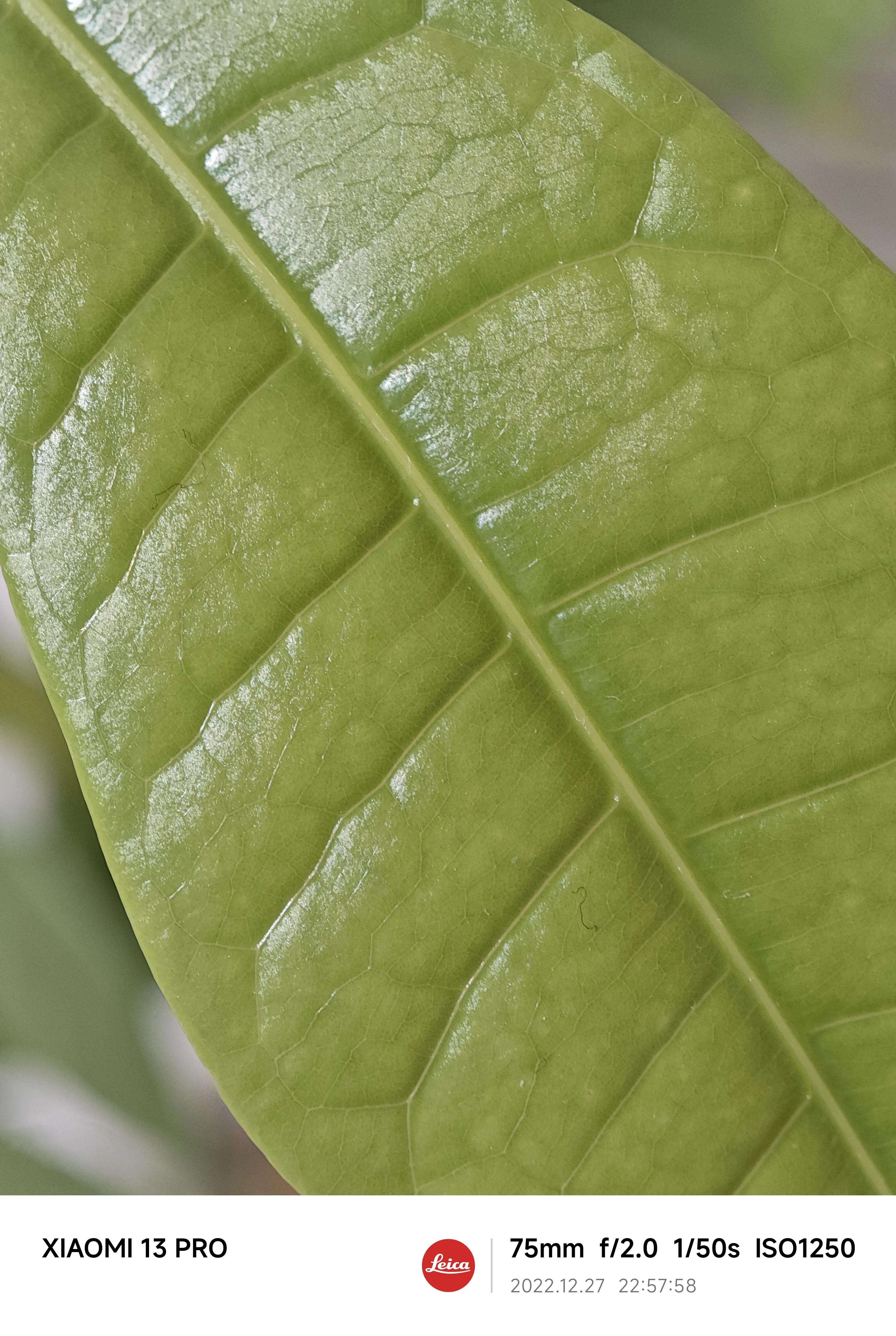 如何发挥小米13pro相机的全部性能,小米13pro拍摄用徕卡哪个好