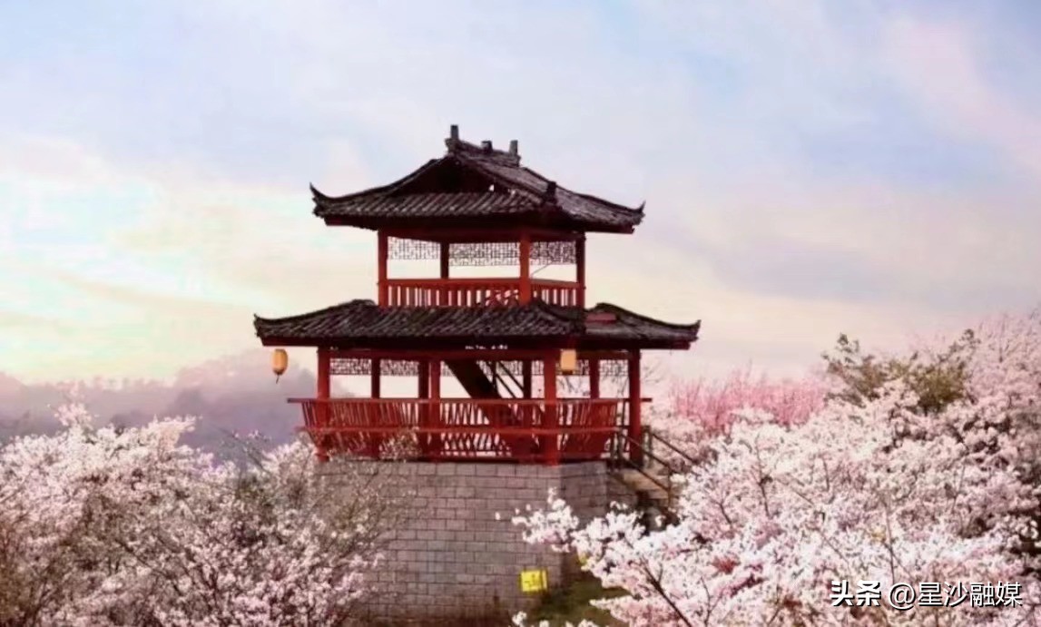 长沙春天赏花的地方有哪些,长沙春天哪里看花海