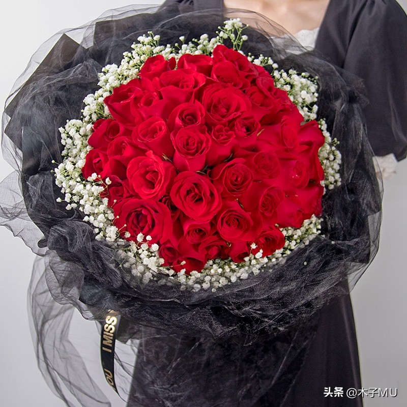 红玫瑰适合送什么人,送女朋友送红玫瑰还是粉玫瑰