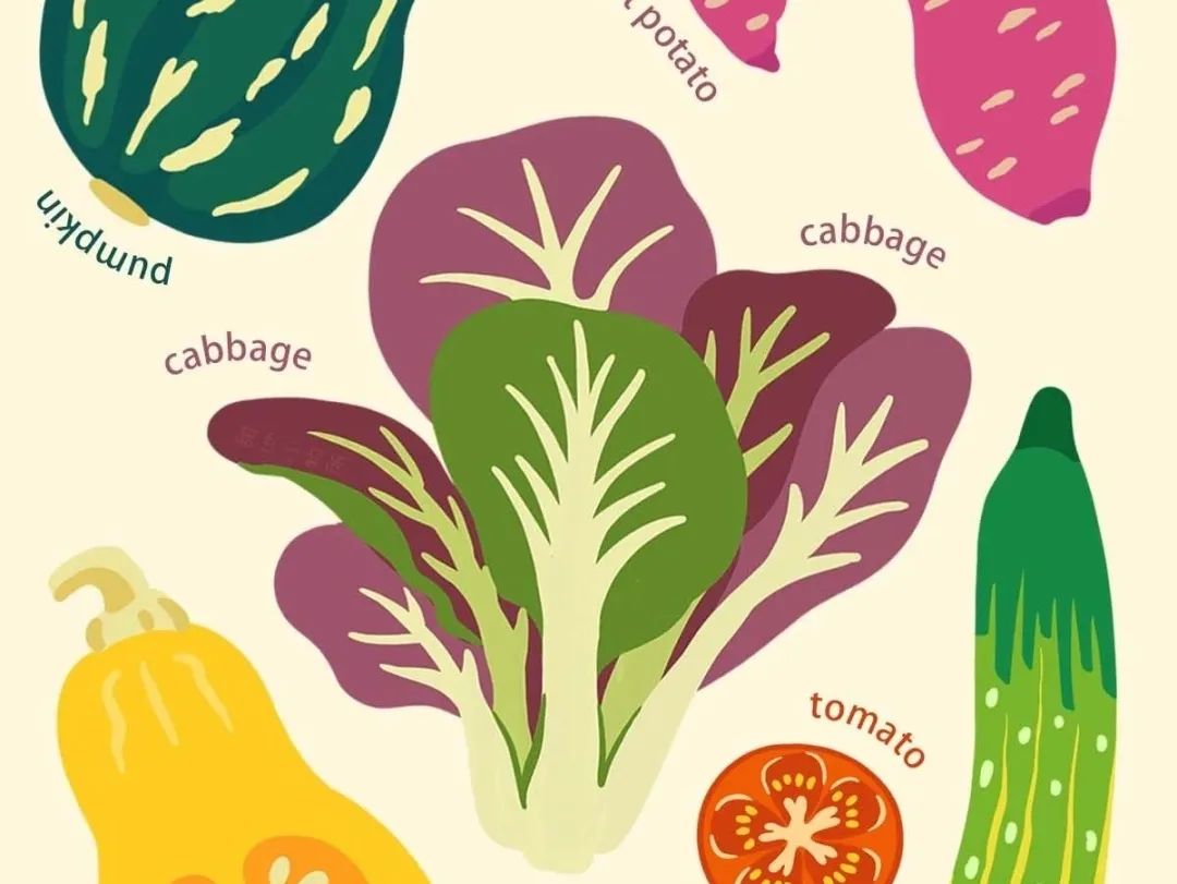 小瓶叶酸片的主要功效,叶酸片的功效主治