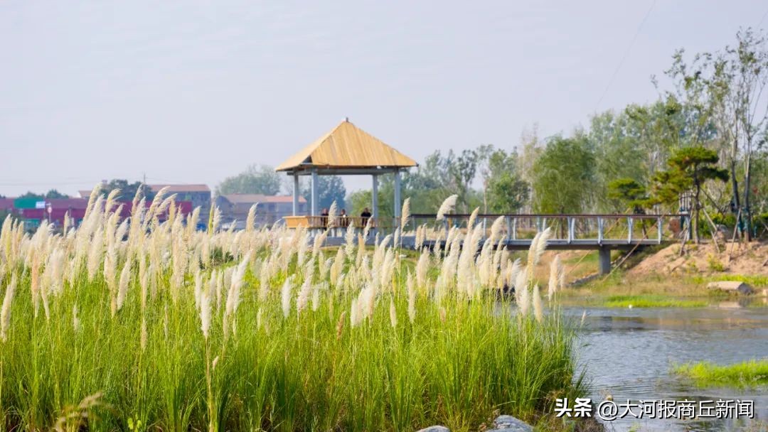 商丘市最新项目建设,商丘公园建设在哪里