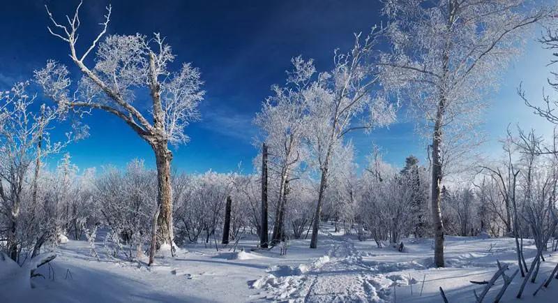 寒蝉原创全集,寒蝉完整版原唱