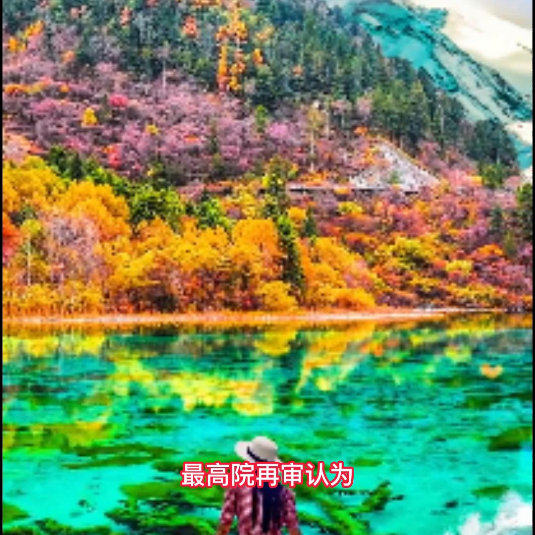 律师在一项委托事务中有损委托*权人**益时委托人可否解除其他...