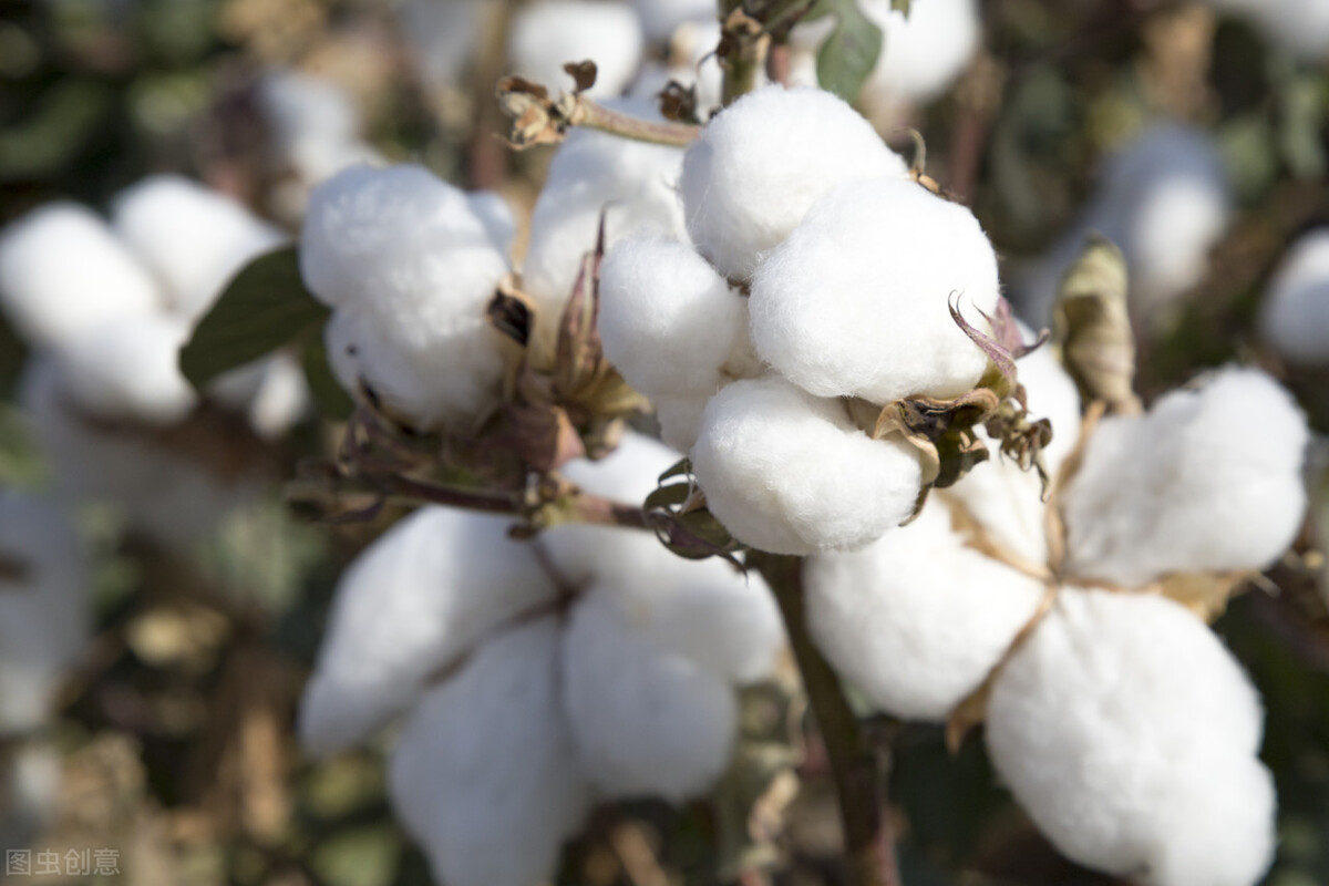 阿迪达斯在中国市场现在的情况,阿迪达斯中国市场下滑