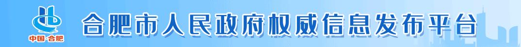 合肥最新政策出台,合肥商务通道