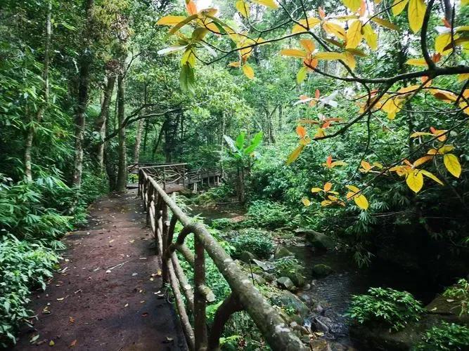 陵水的这些小众景点你会选哪个呢,海南旅游小众城市陵水哪里