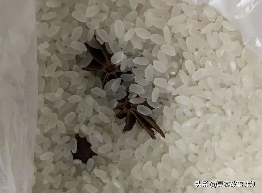 囤货之前应该怎么干,当爆仓成为一种习惯