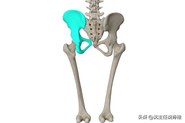 骨盆有一点歪自己能恢复吗,骨盆歪了会哪里疼