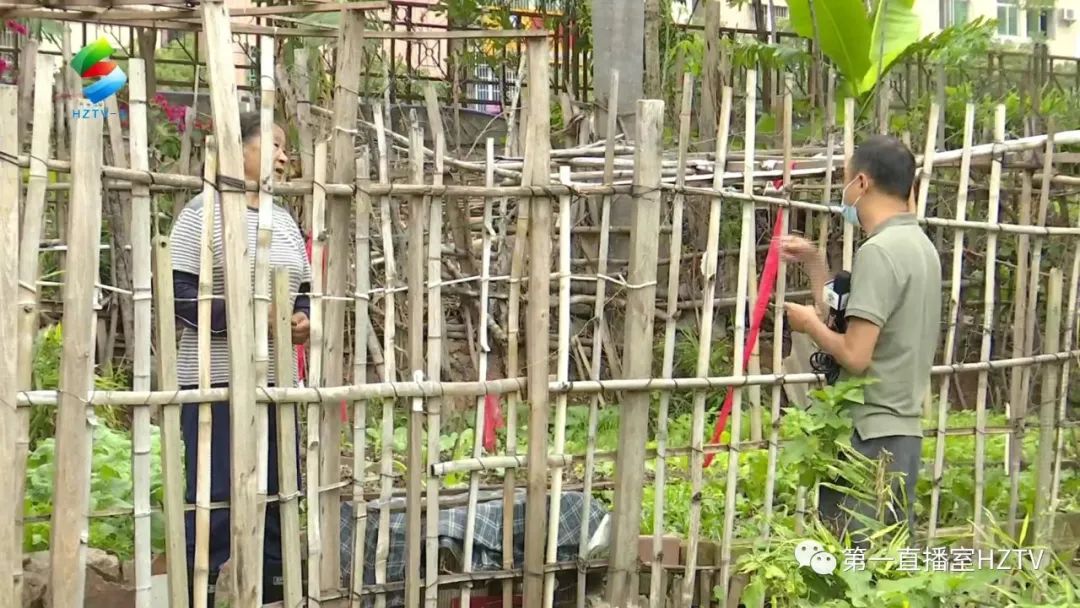 煞风景大煞风景,煞风景