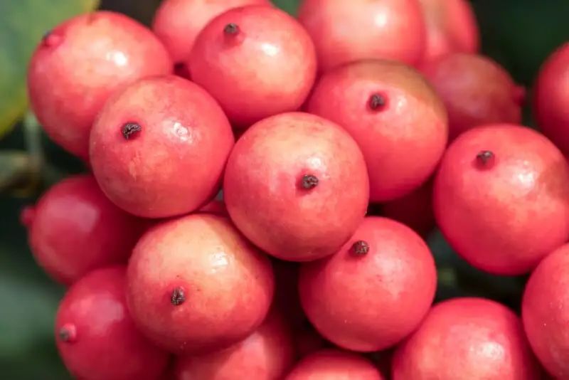 宾得新款16-50评测,宾得镜头18-135样片测评