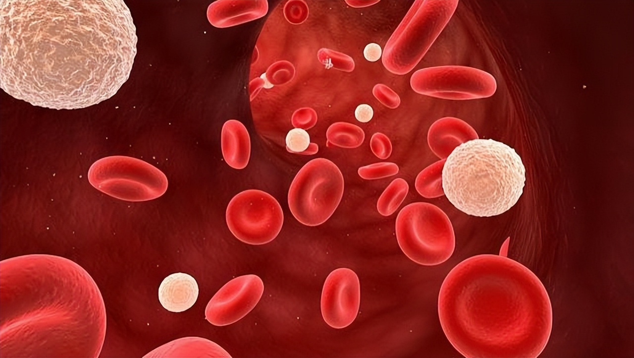 免疫性血小板减少症中医怎么治,中医治疗免疫性血小板减少症效果