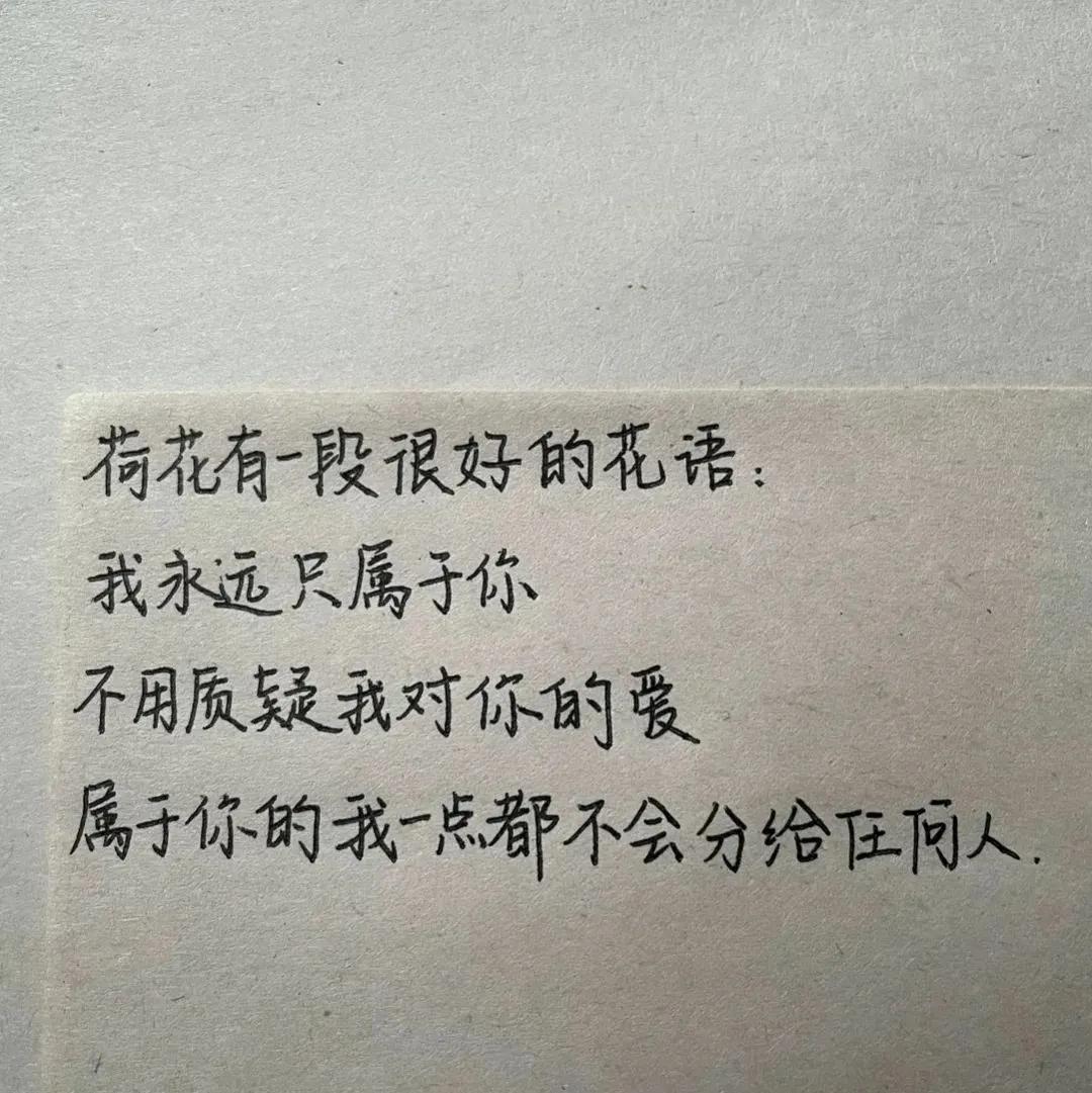 干净大方的背景图,绝美背景图干净