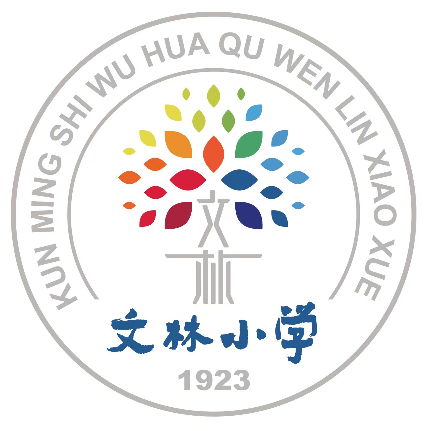 昆明文林小学和武成小学对比,昆明市文林师大附小