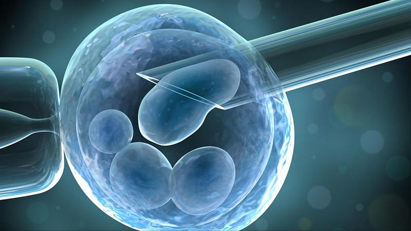 试管婴儿的智商跟普通婴儿的区别,试管婴儿的智商和普通婴儿的区别