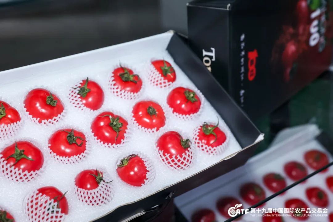 开眼了！西博城那么大的超市你见过吗