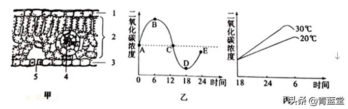 2021年山东省聊城市中考生物真题
