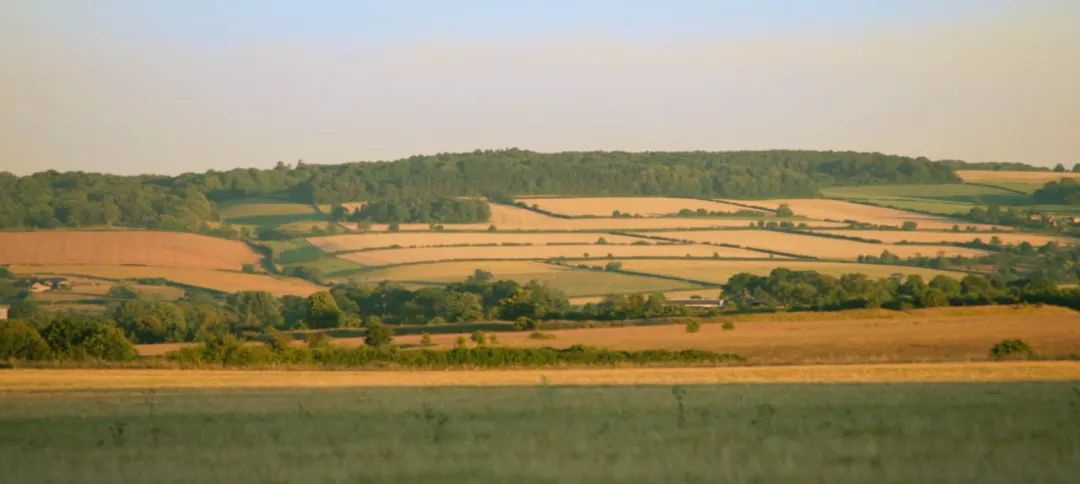 养猪养狗种田真人秀,真人秀十个男生种田