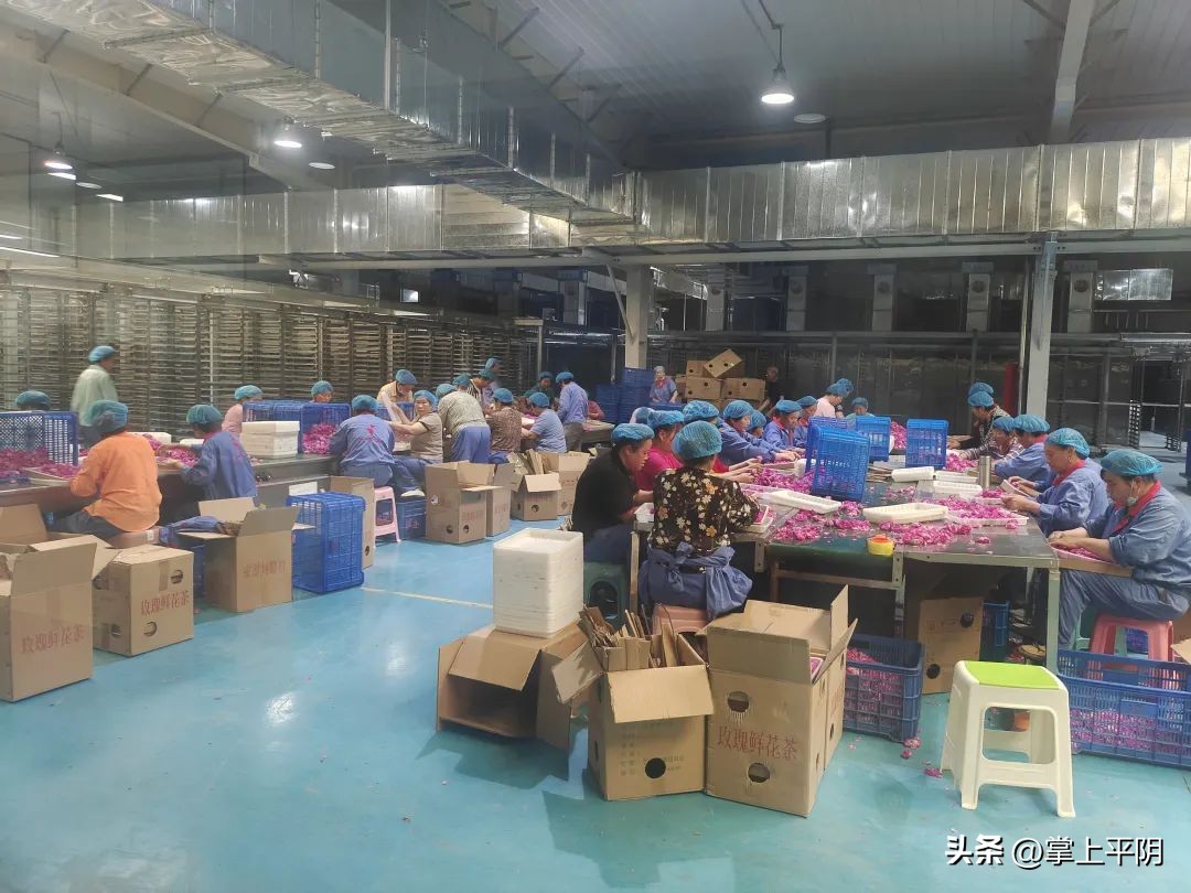 山东商报济南记者站,山东商报创刊