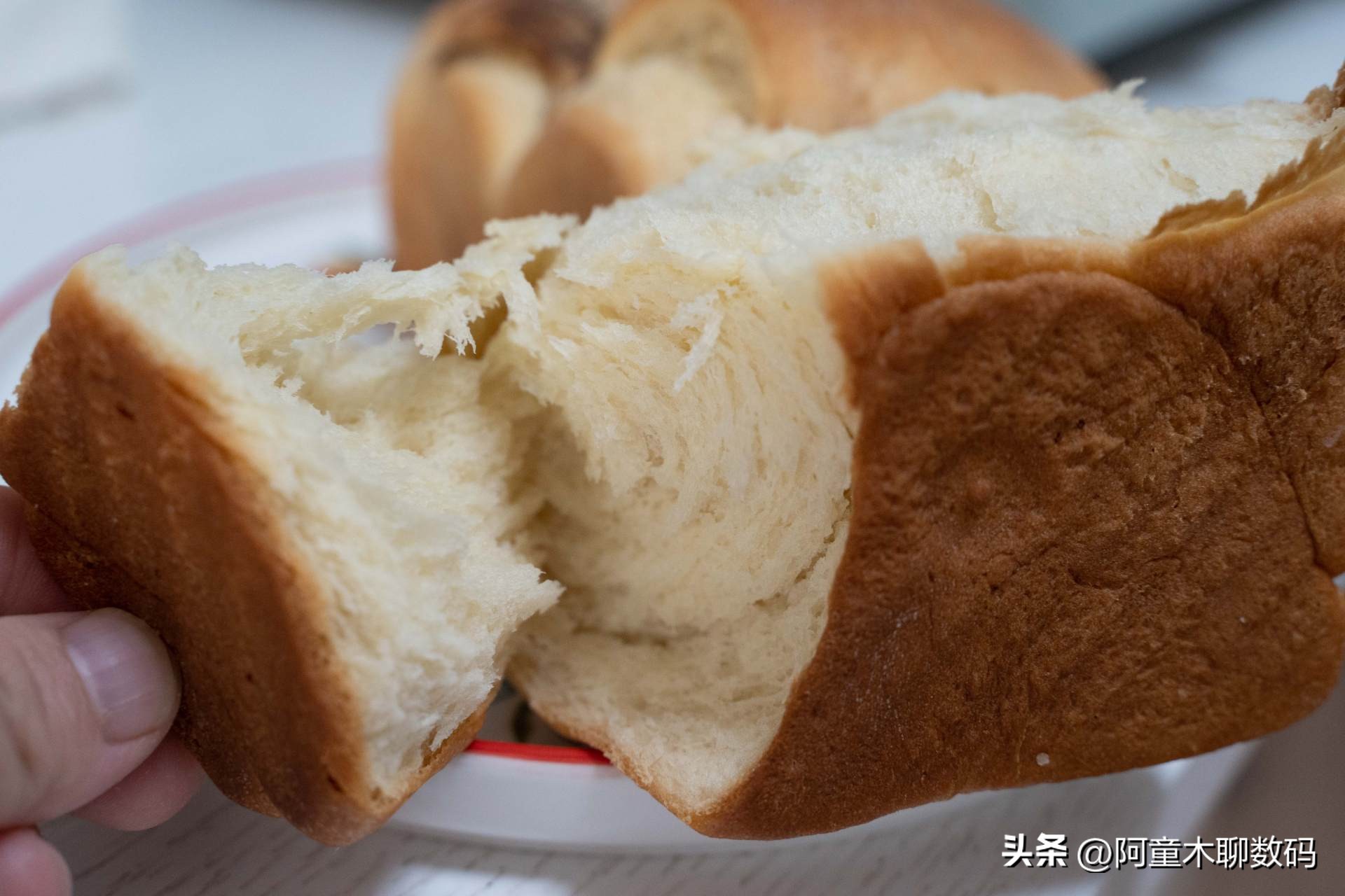 长帝发酵厨师机,长帝厨师机低温发酵怎么操作