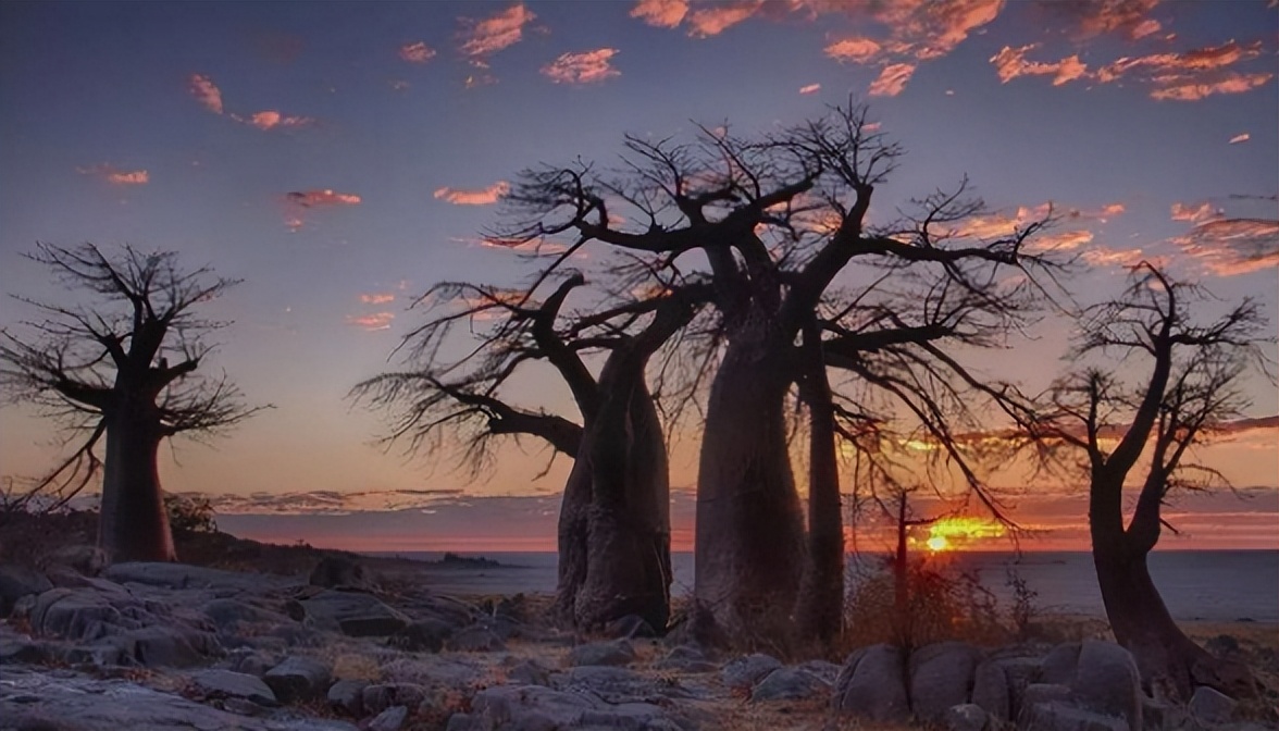 南非留学签证容易获签吗,南非留学申请一般需要多久时间