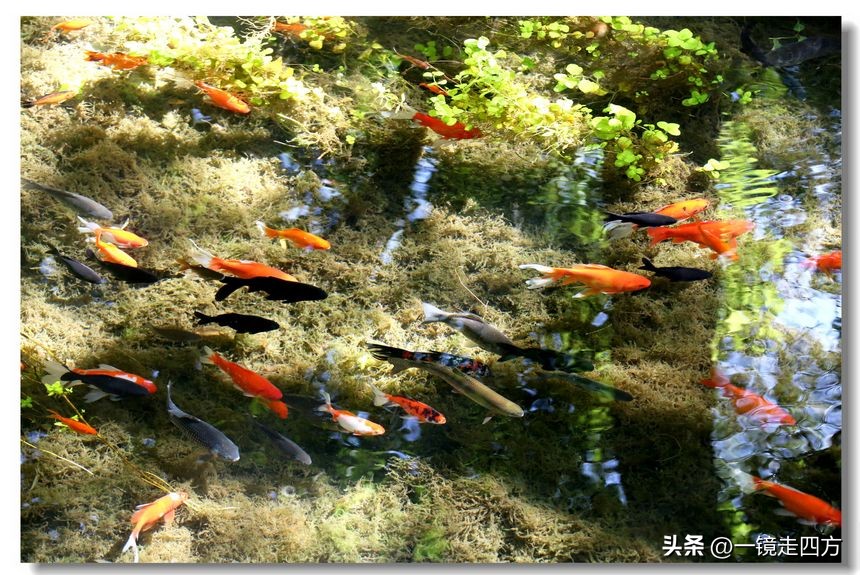 乌鲁木齐十大隐藏公园,乌鲁木齐最好的小绿谷公园