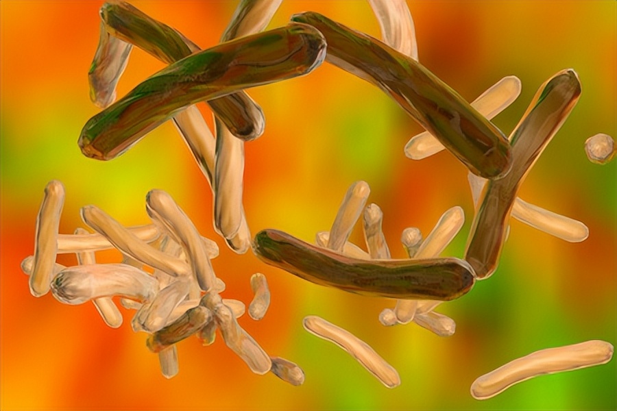 蓝藻球菌的完整细胞MALDI-TOF质谱分析，用于分类和鉴定标记蛋白