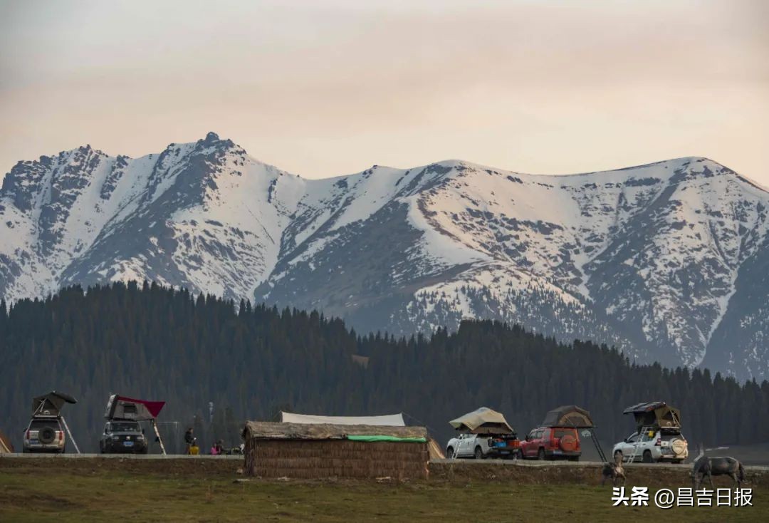 奇台即将开工的大工程,奇台2019年项目