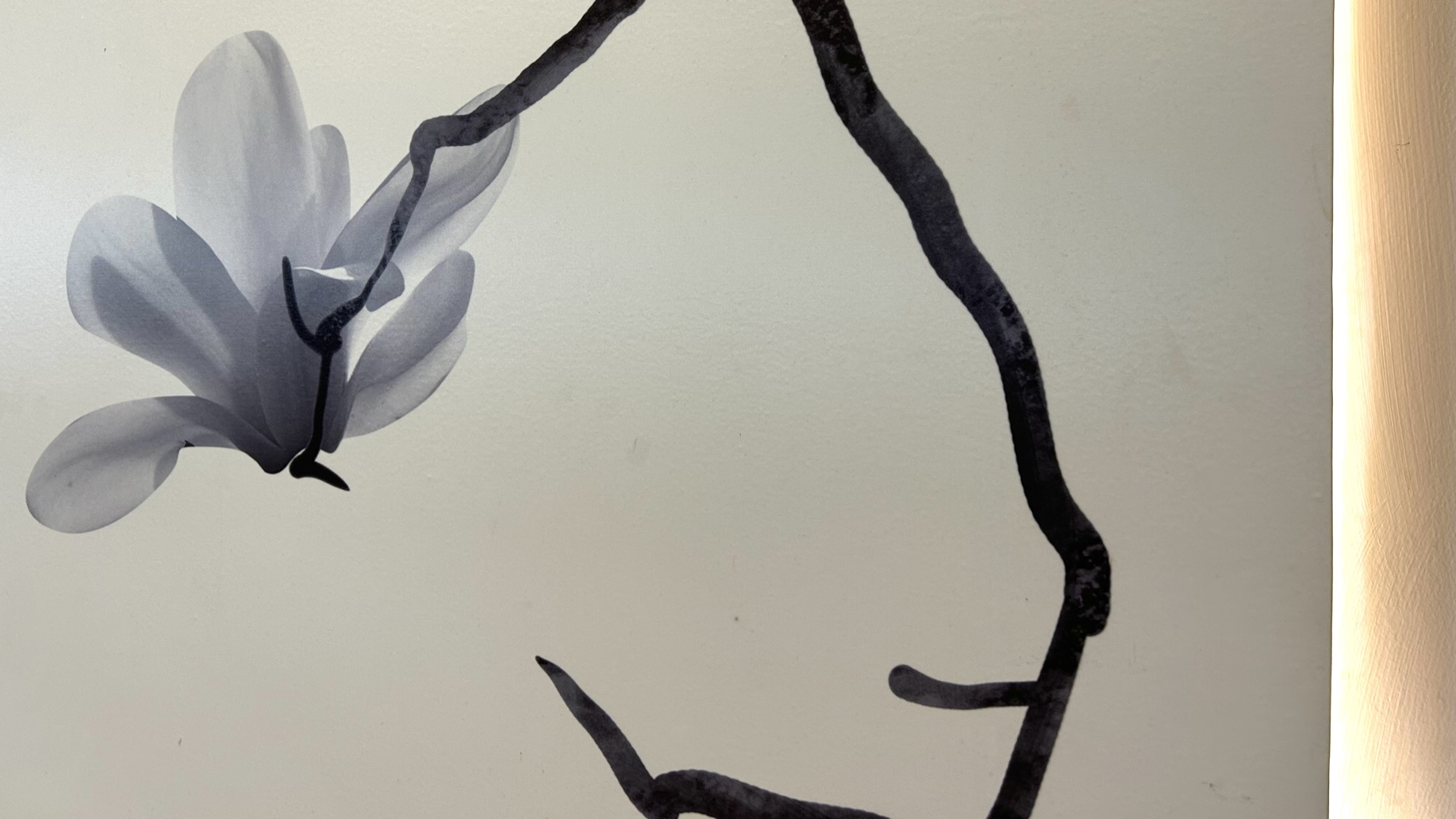 济宁各县市区,济宁市区的生活