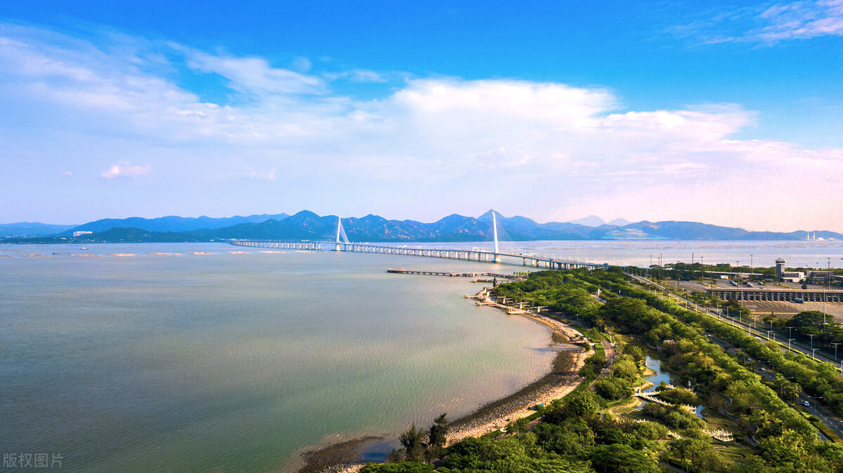 深圳湾公园为什么有海鸥呢,深圳湾公园有什么特点