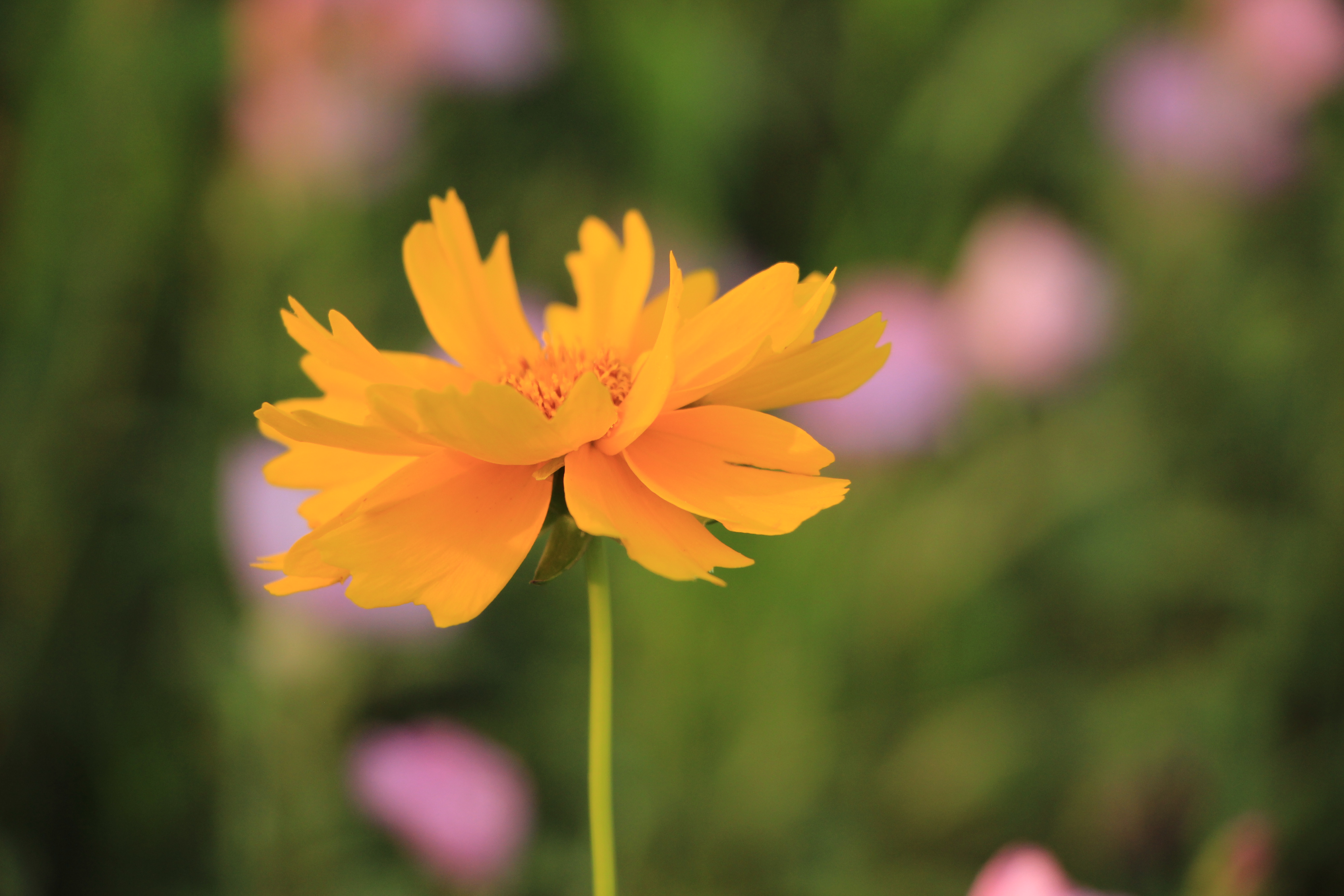 不管谁向你借钱这样回答你就赢了,有人向你借钱三句话高情商拒绝